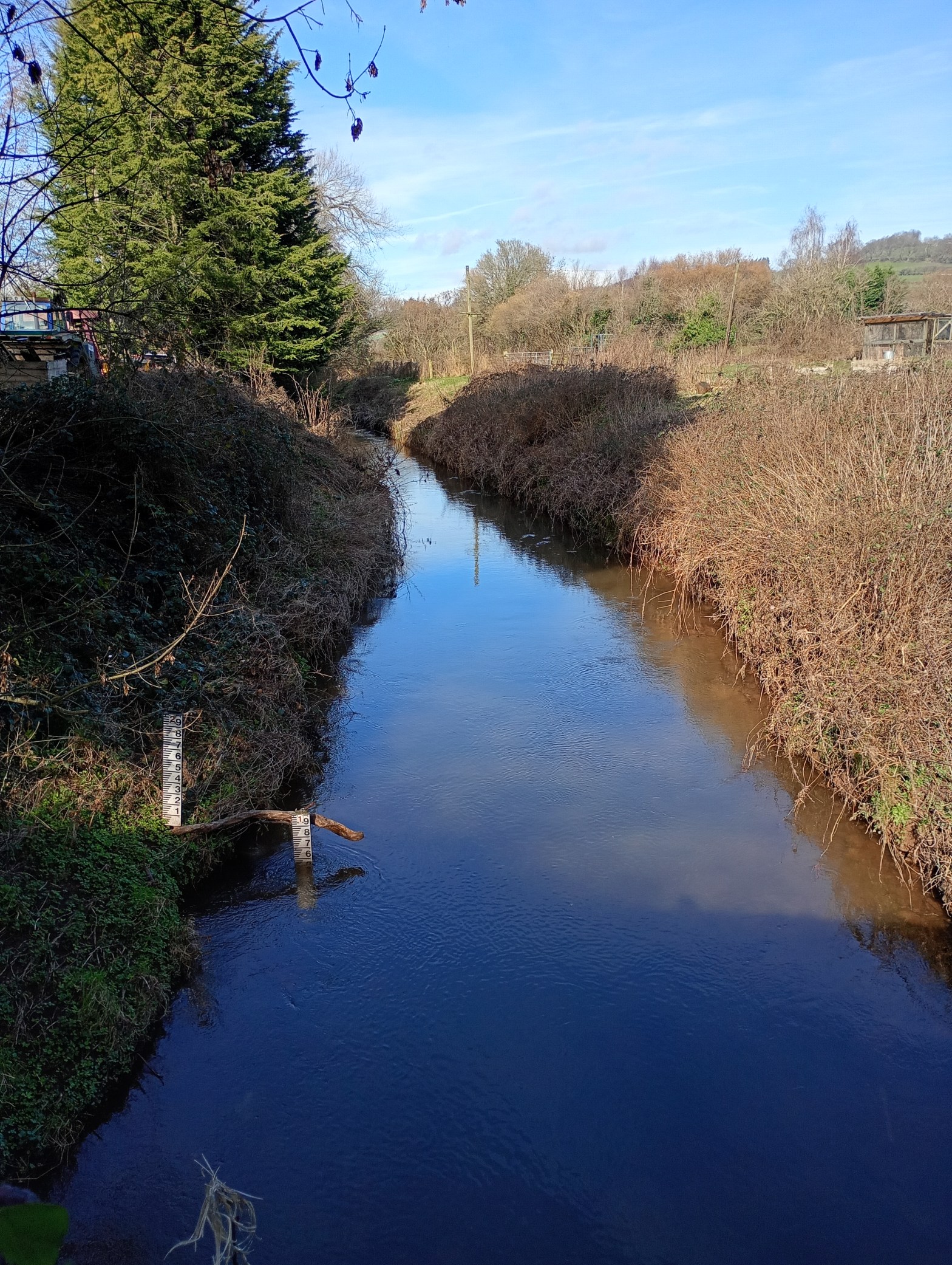 Metabolising pain into hope.